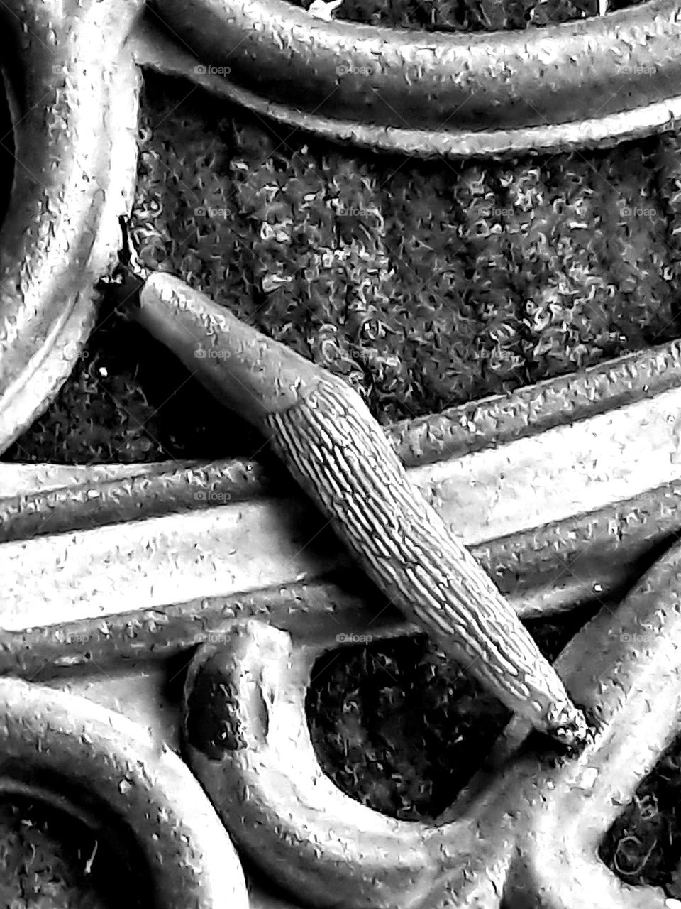 snail on the door steps