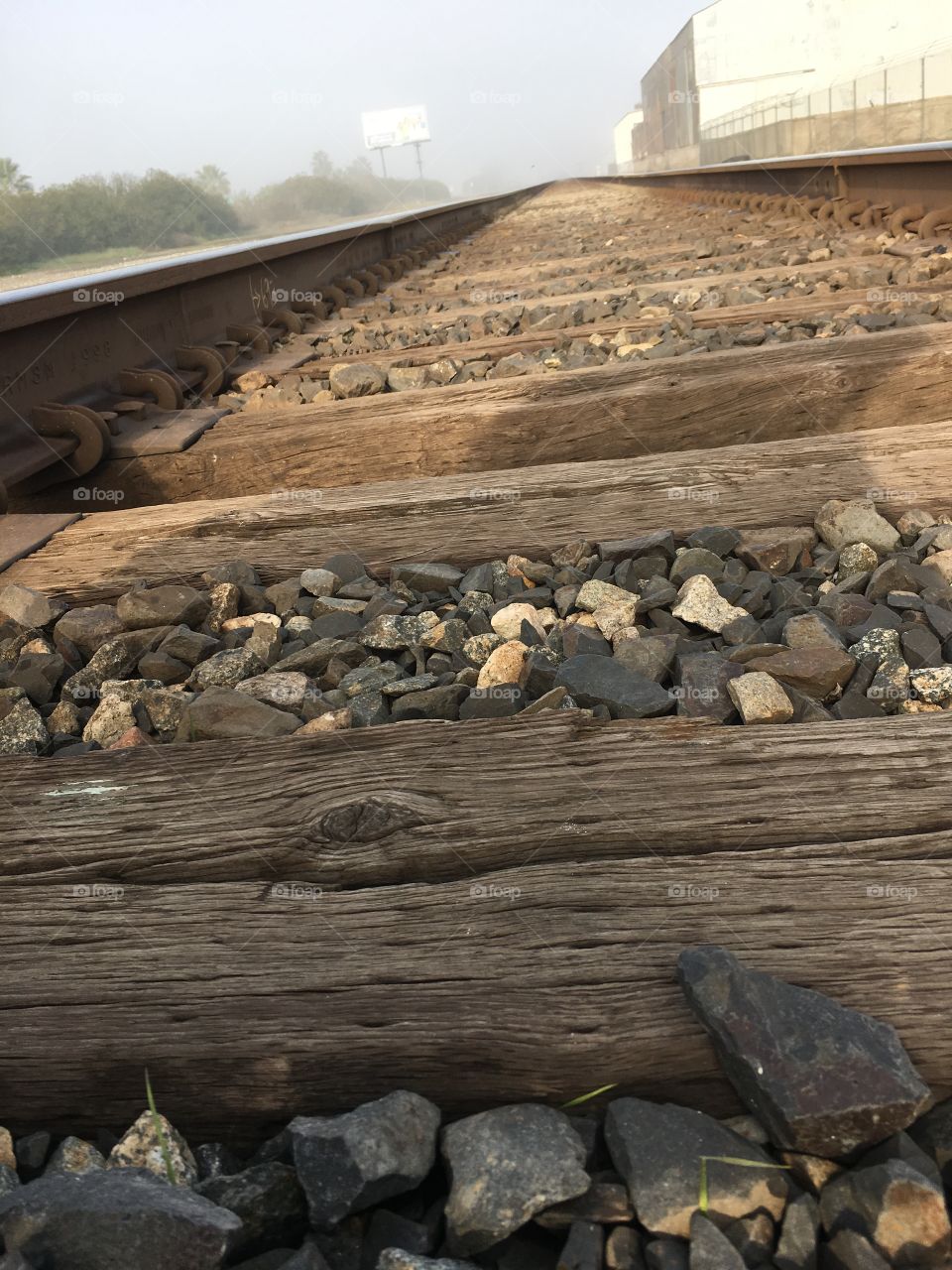Train tracks 