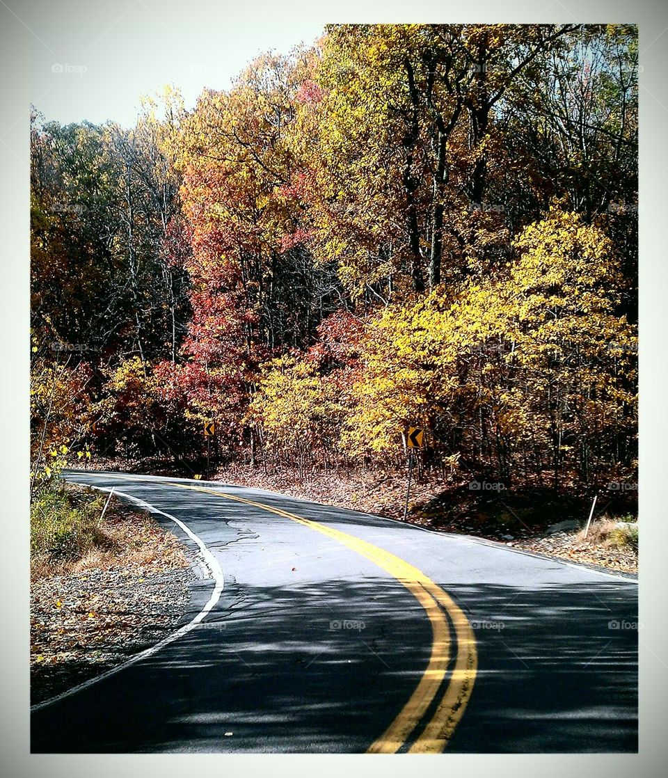 Fall Country Road