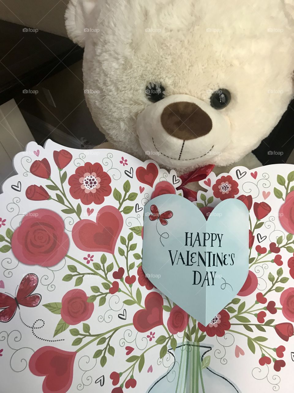  A teddy bear holding a Valentine’s Day card with flowers and hearts and celebration of Valentine’s Day. USA, America