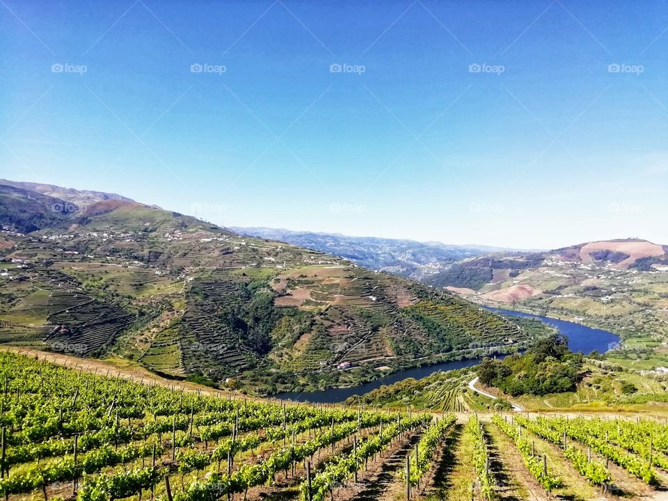Douro Vineyards, Douro river, Portugal