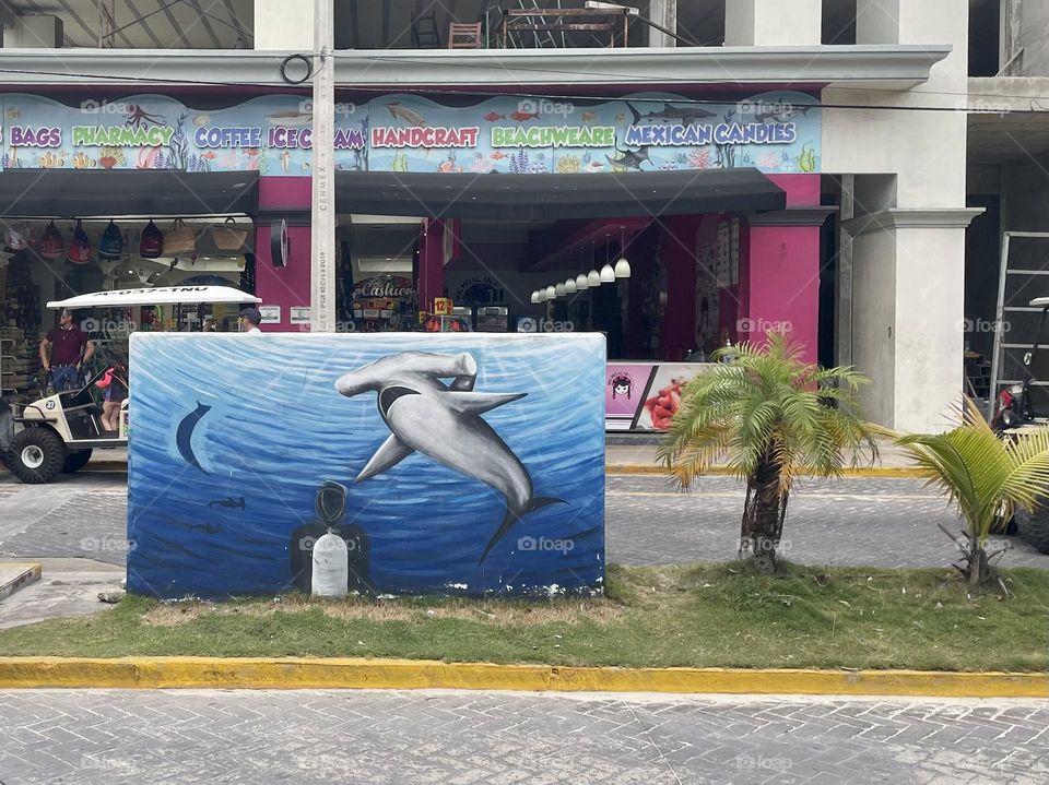 Hammerhead mural on the street of Isla Mujeres, Mexico.