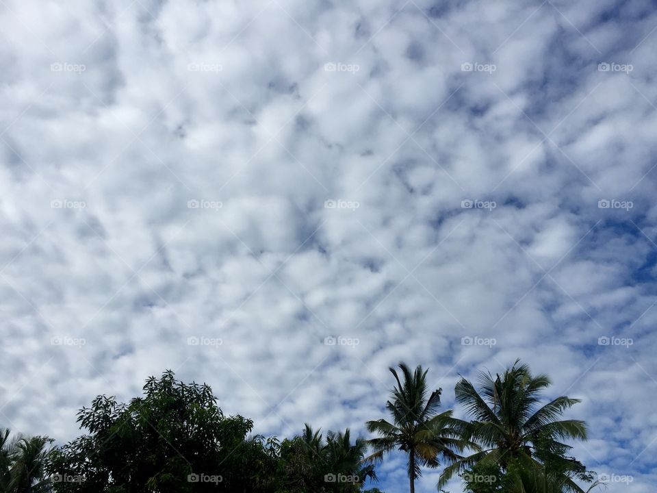 Beautiful clouds