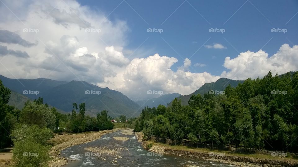 Kashmir