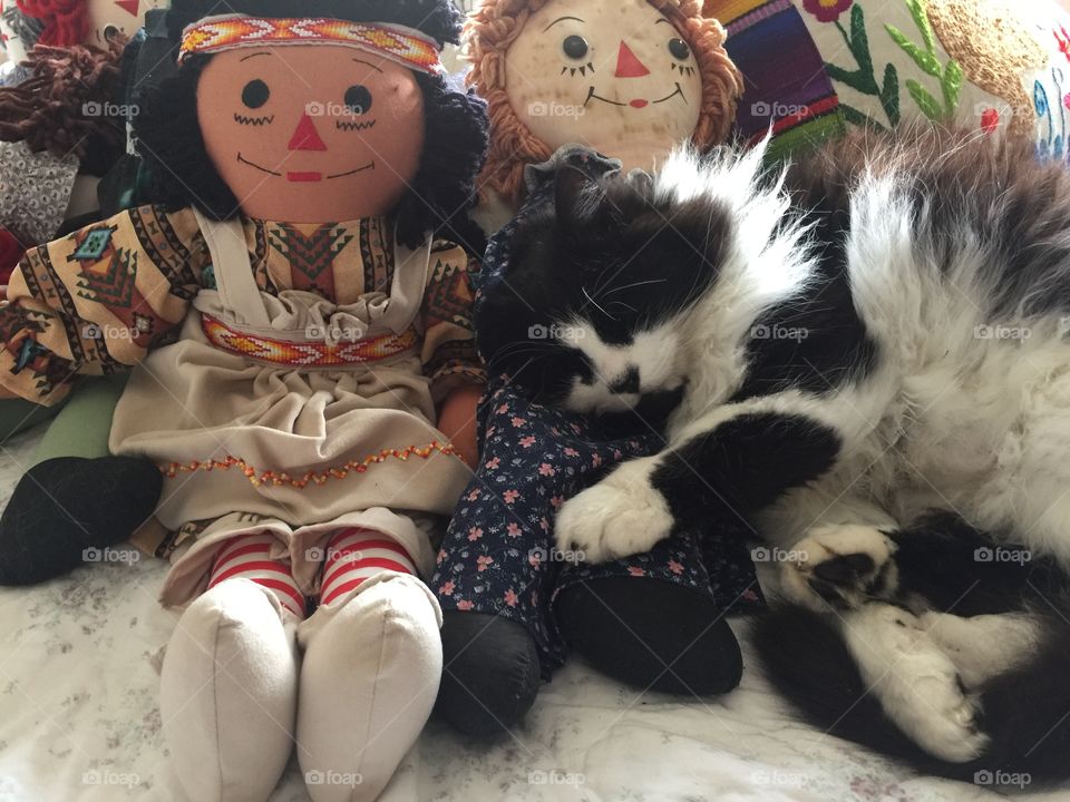 Sleeping cat with Dolls