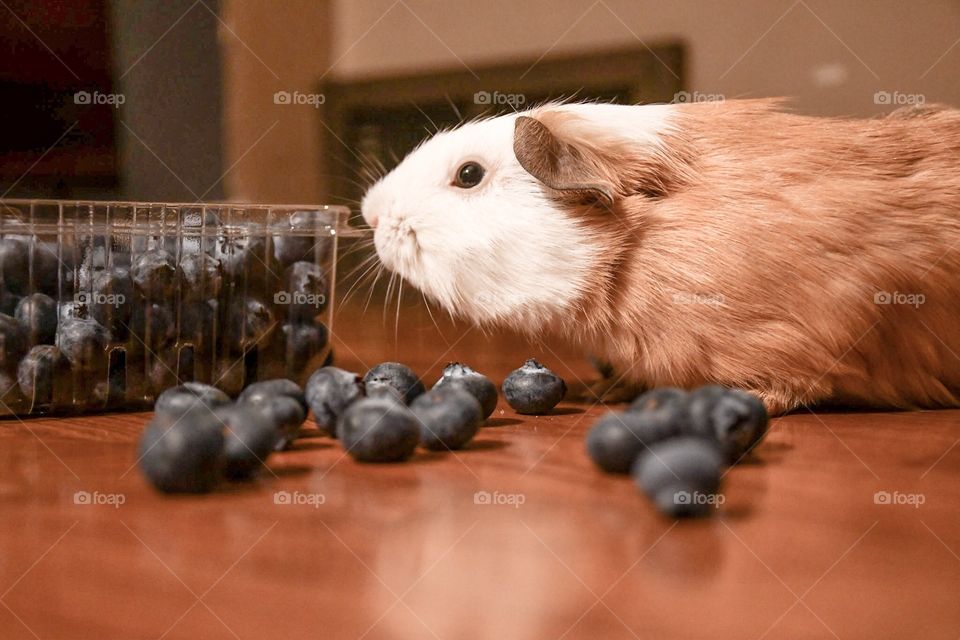 Piggly Wiggly loves blueberries!