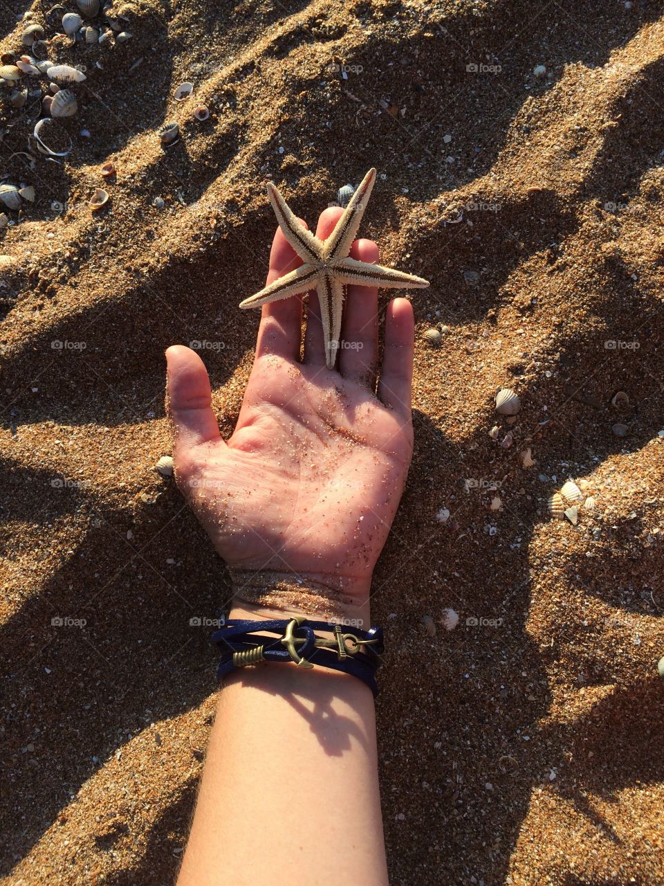 Starfish 