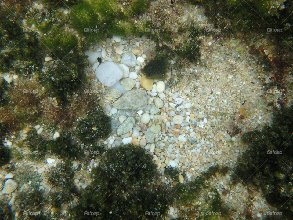 sea underwater. heart shape from rocks and stones at the bottom of the sea