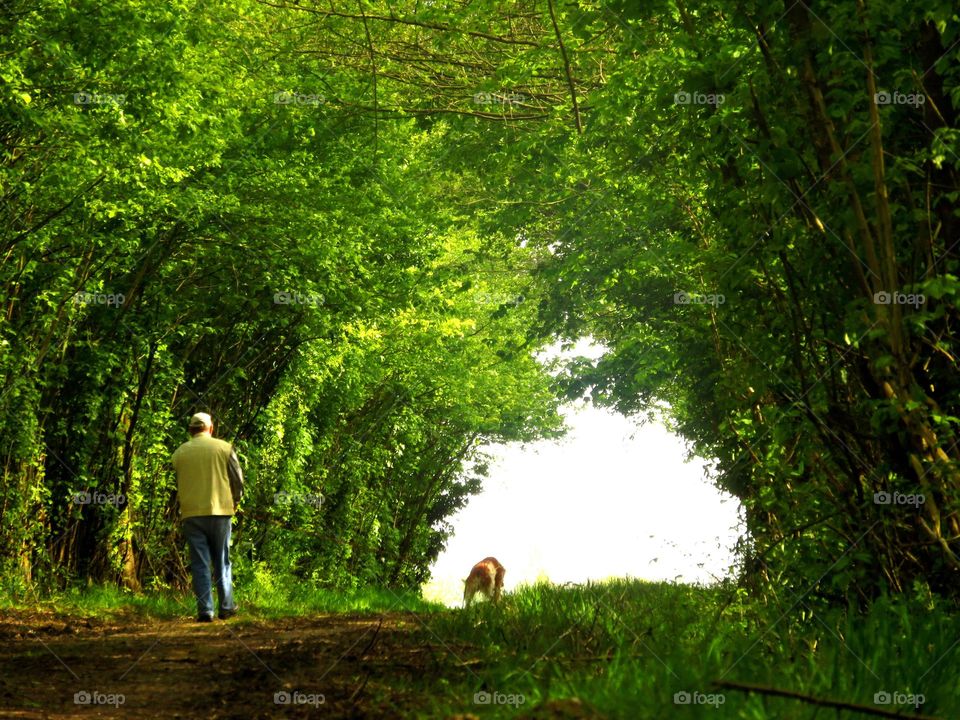 under the green arch