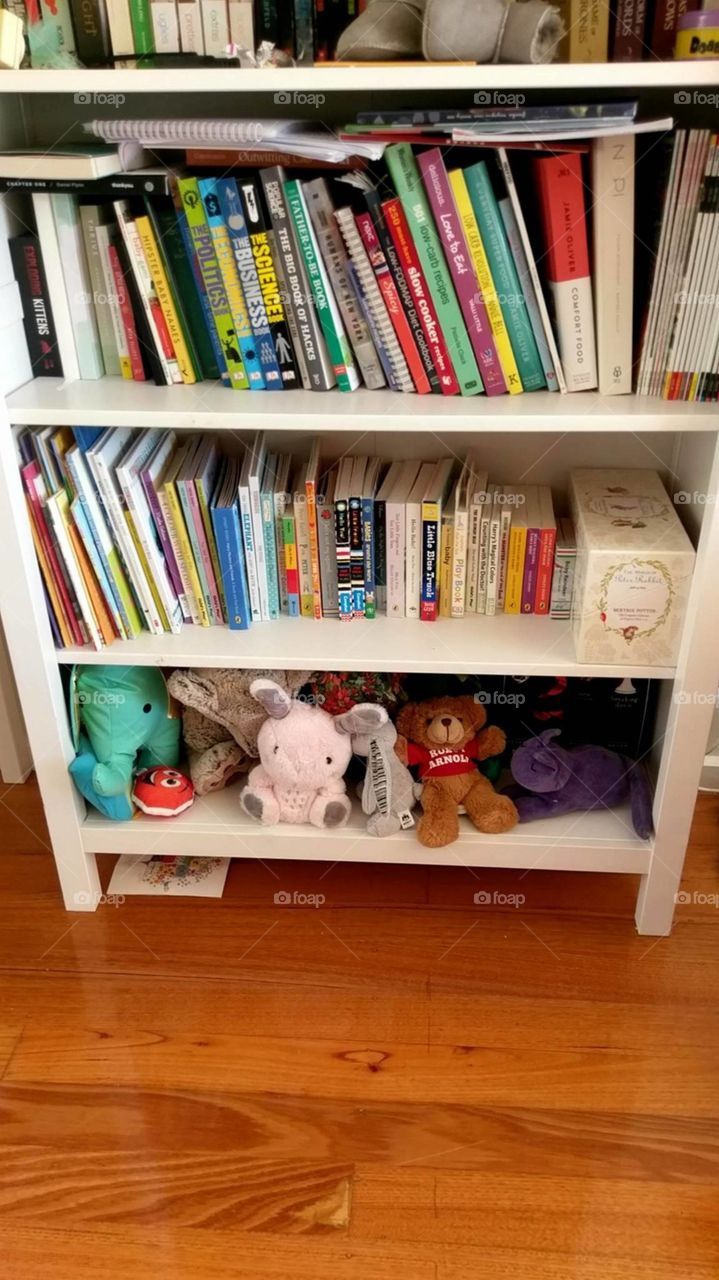 Bookcase, Shelf, Education, Wood, No Person