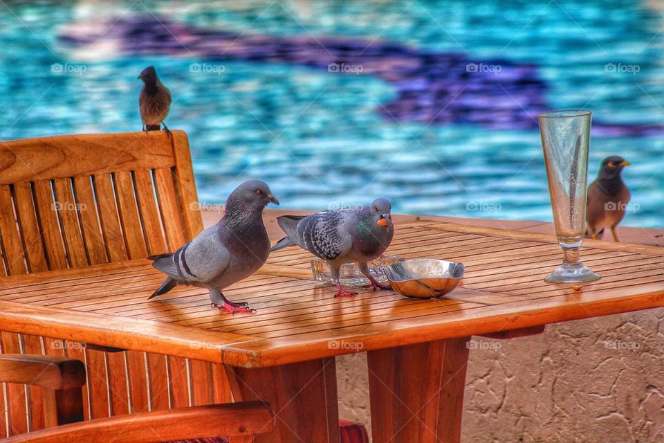 Party on the patio