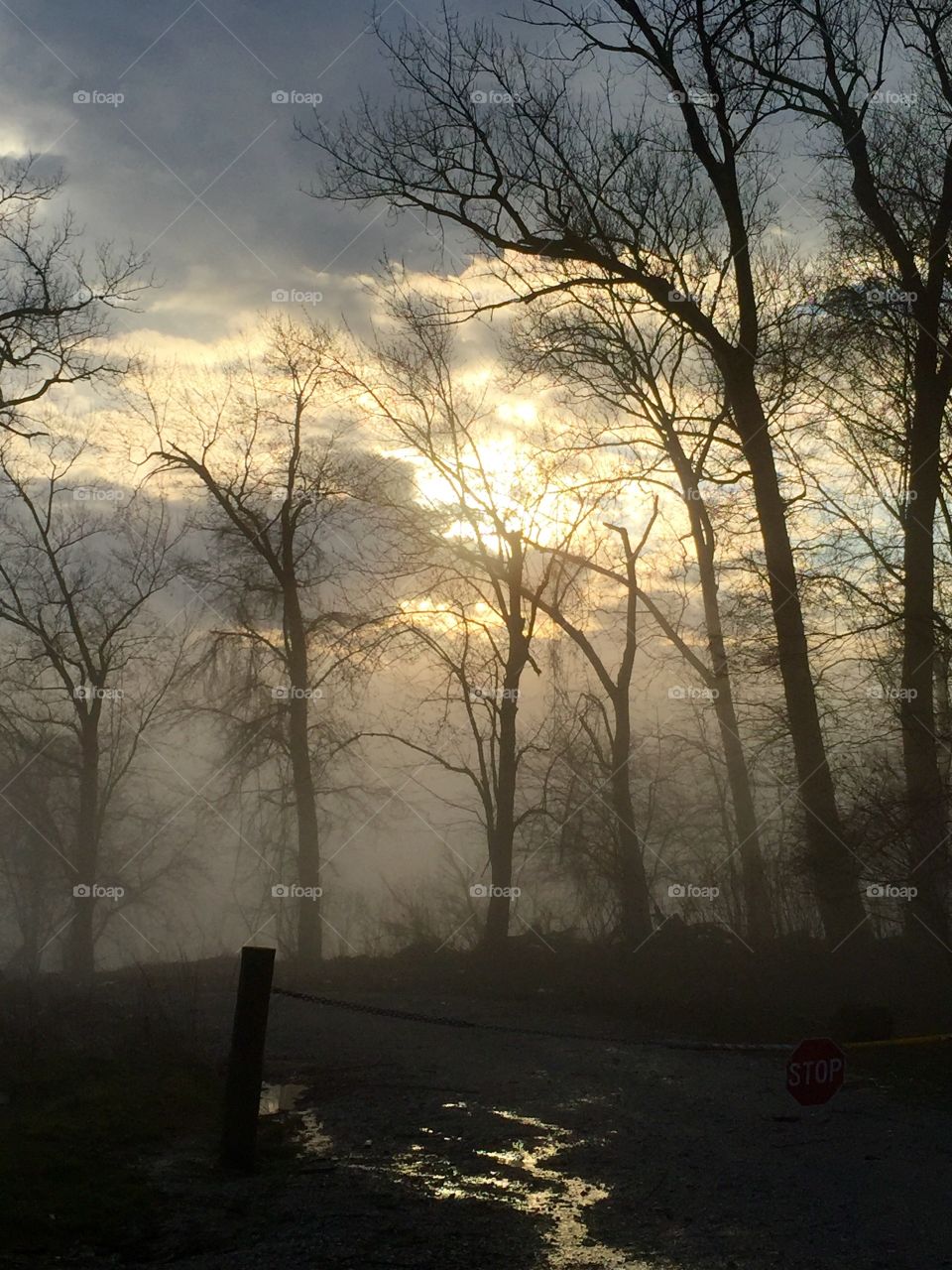 Fog by the Ohio River