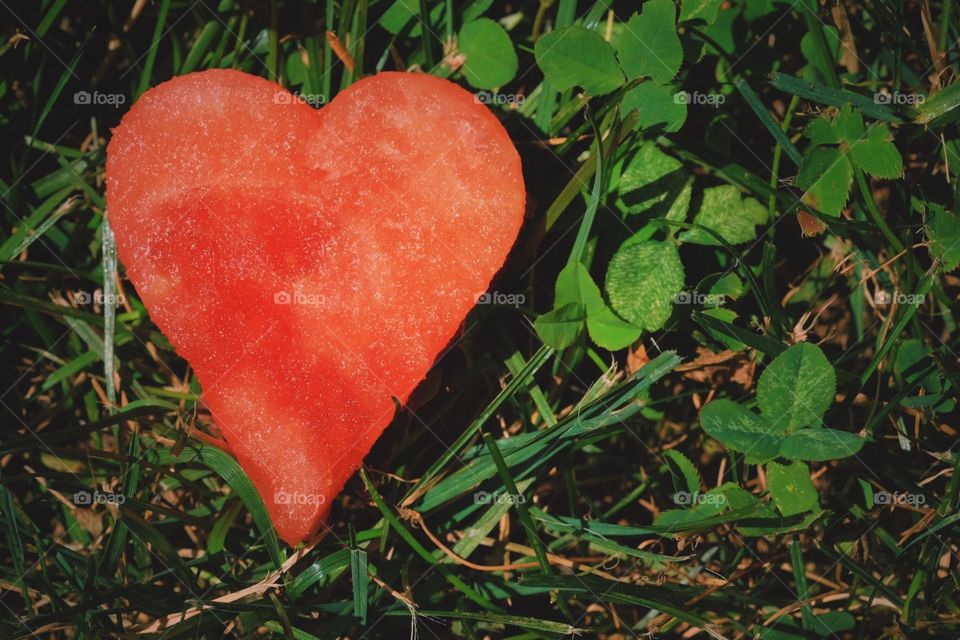 Heart In The Summertime, Watermelon Heart In The Grass, Summer Love, Watermelon Heart, Watermelon Love 