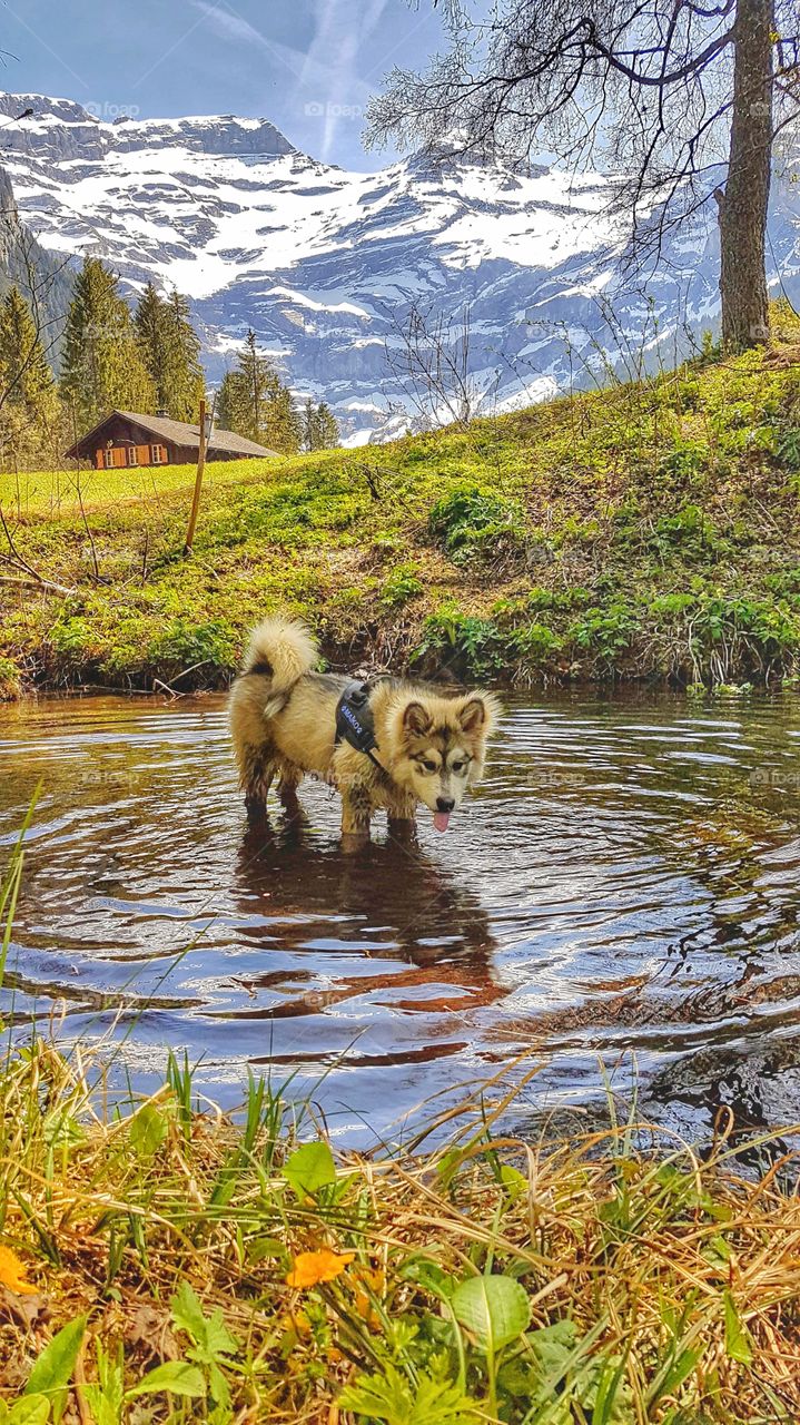 Water play with view