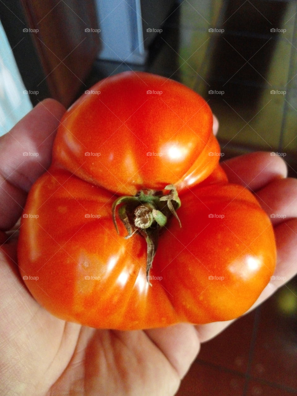 Nice Tomato