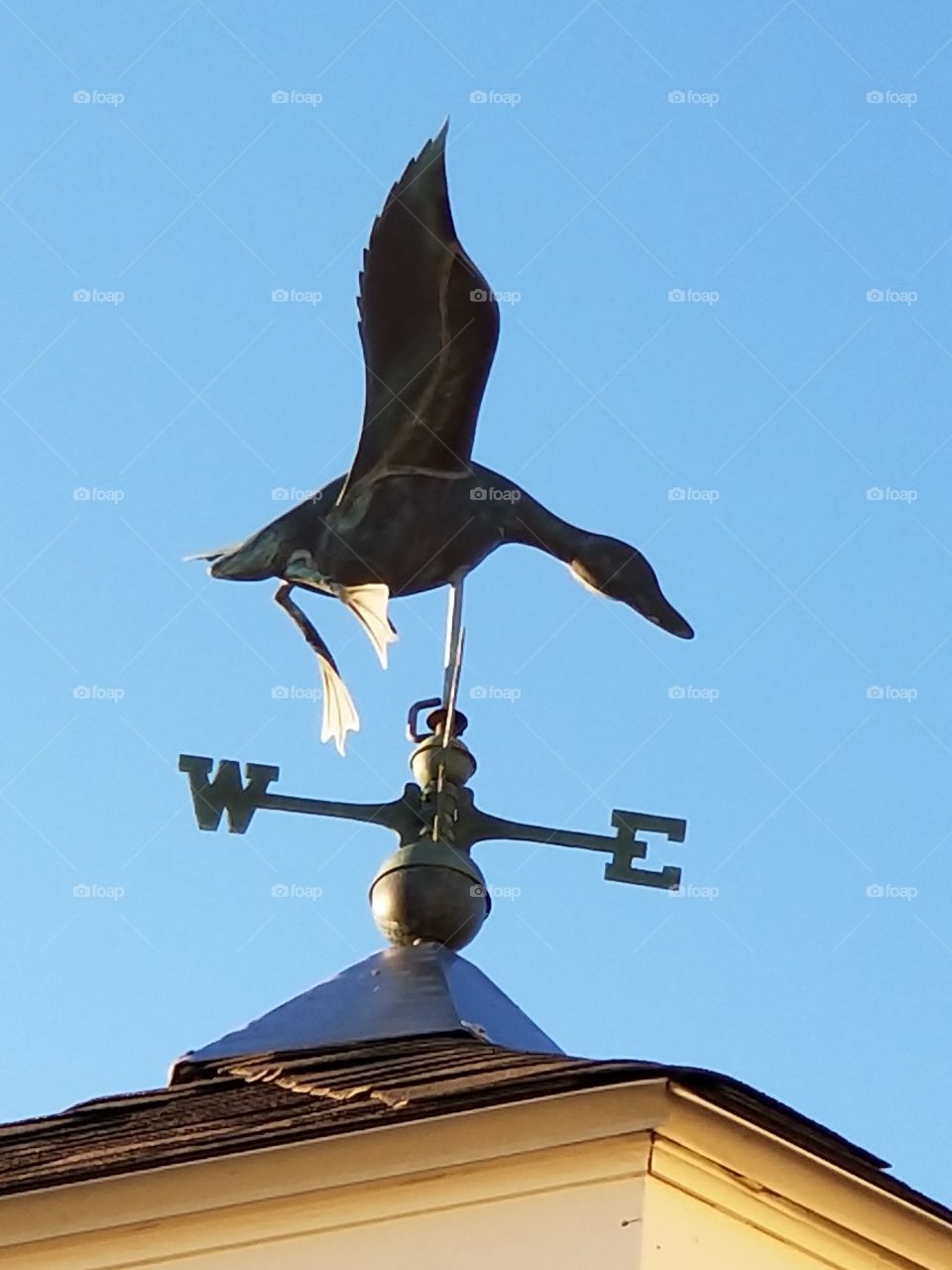 Weathervanes. my new obsession.