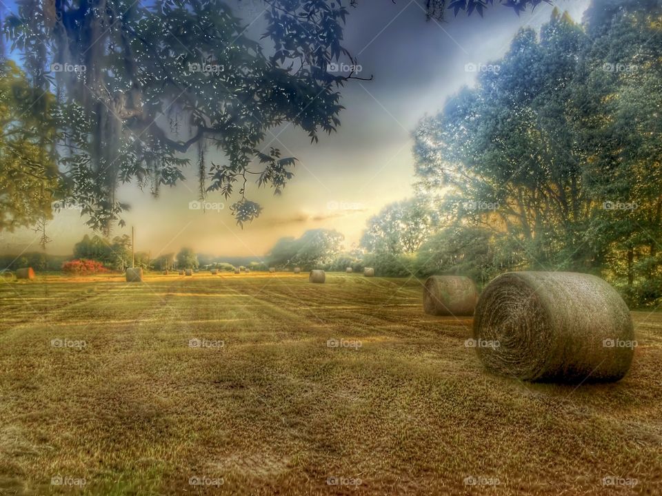 Flashbacks: Late Afternoon Hay Field- tweaked