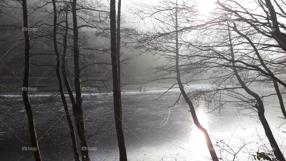 winter