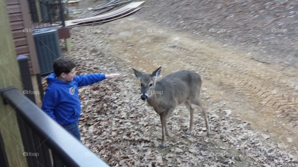 child and deer