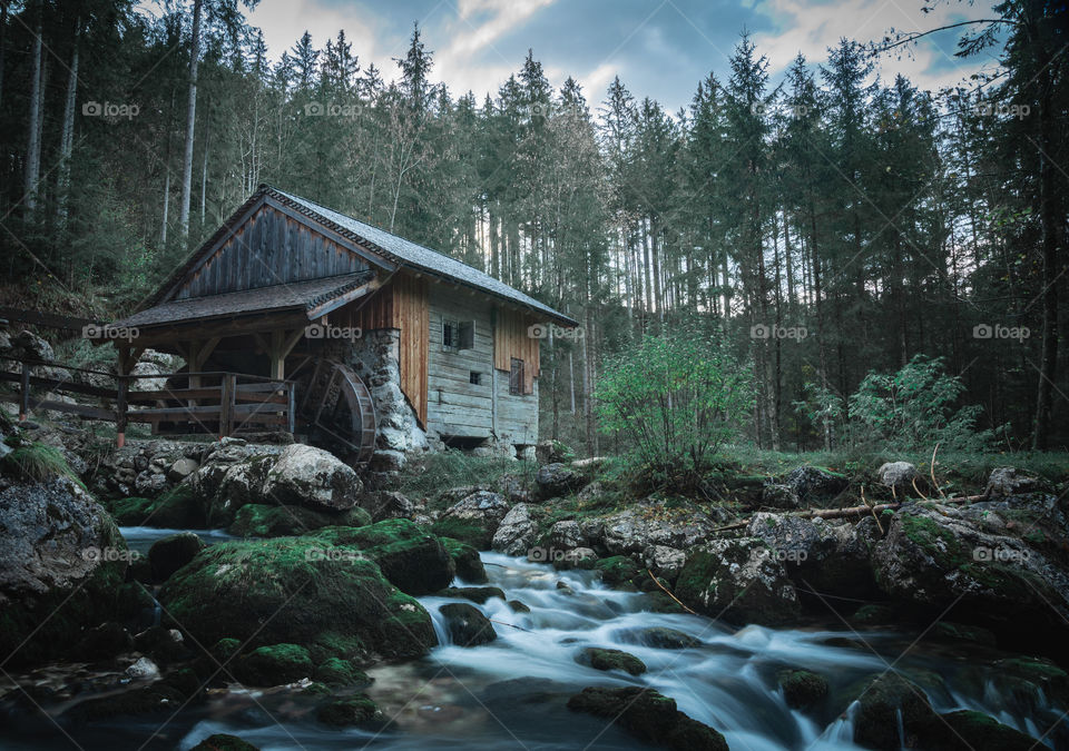 Moody House in the Forest of Austria
