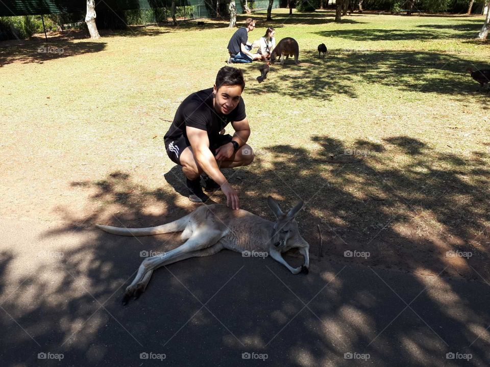 Young man petting the kangaroo 
