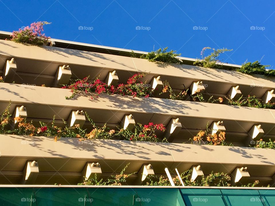 Interesting view: colourful flowers can be seen from city’s car park.