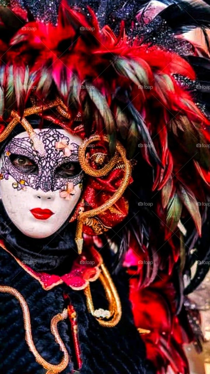 Maschere in posa. Carnevale di Venezia
