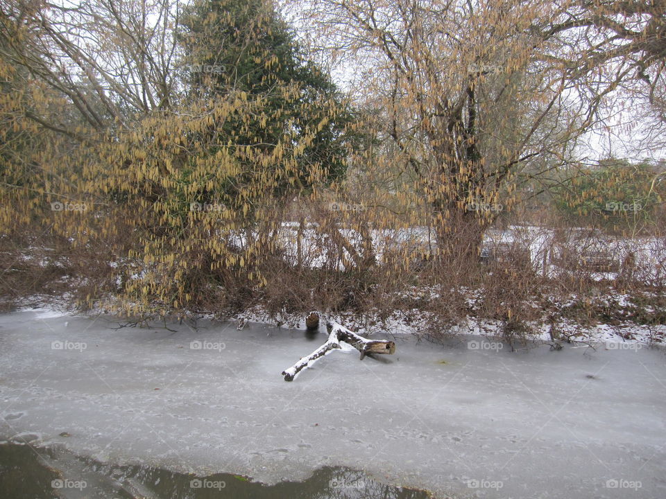 Frozen River