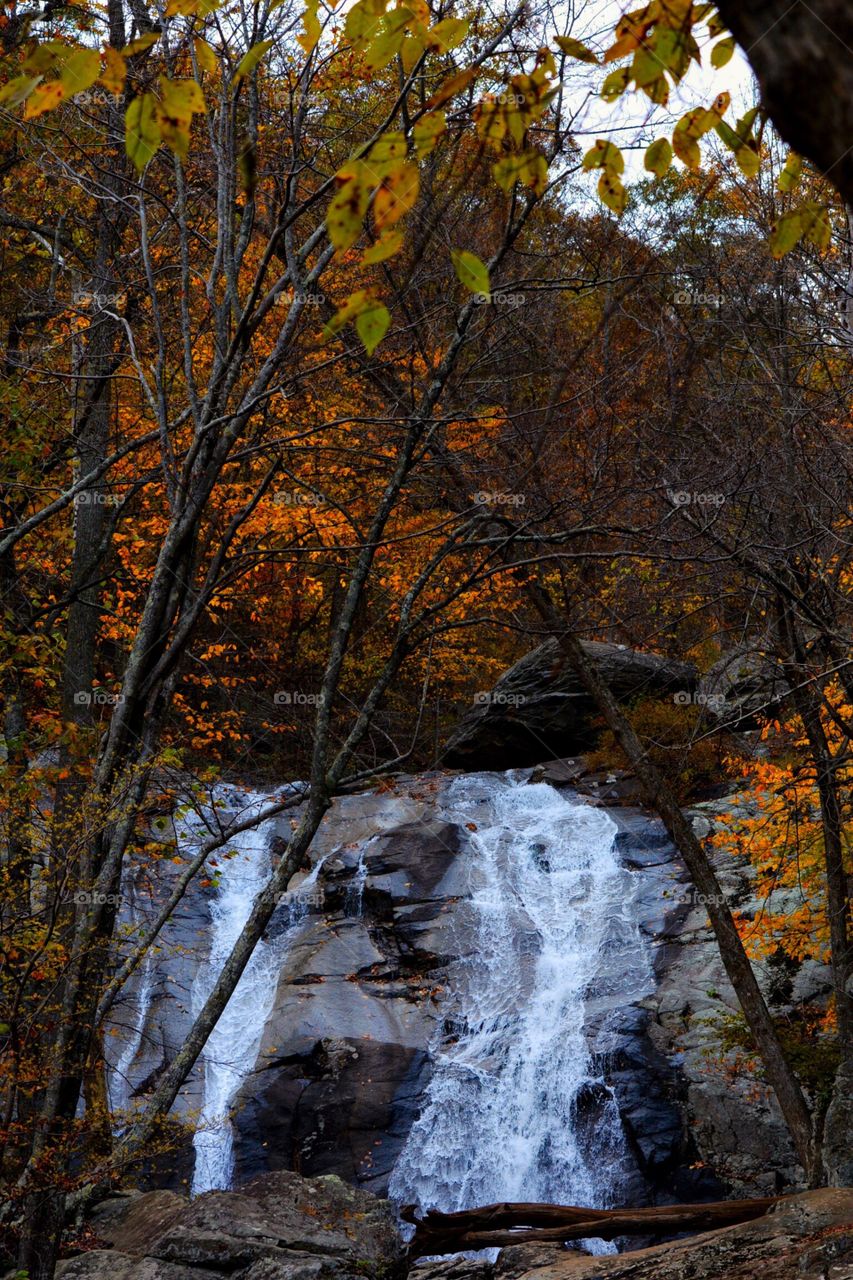 Autumn Waterfall 