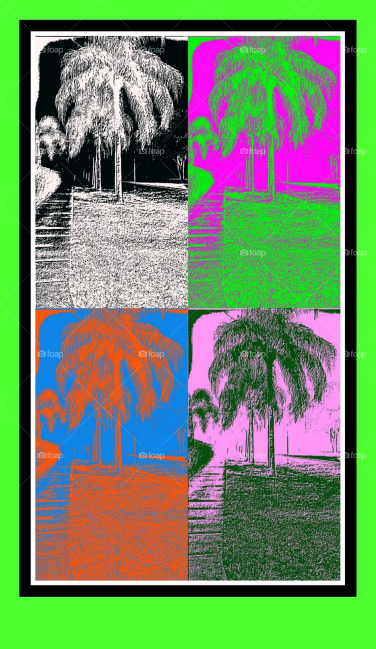 postered palms
