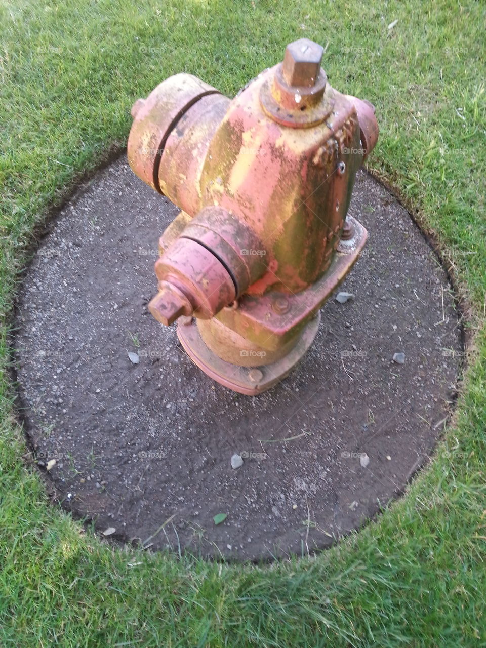 fire hydrant. water