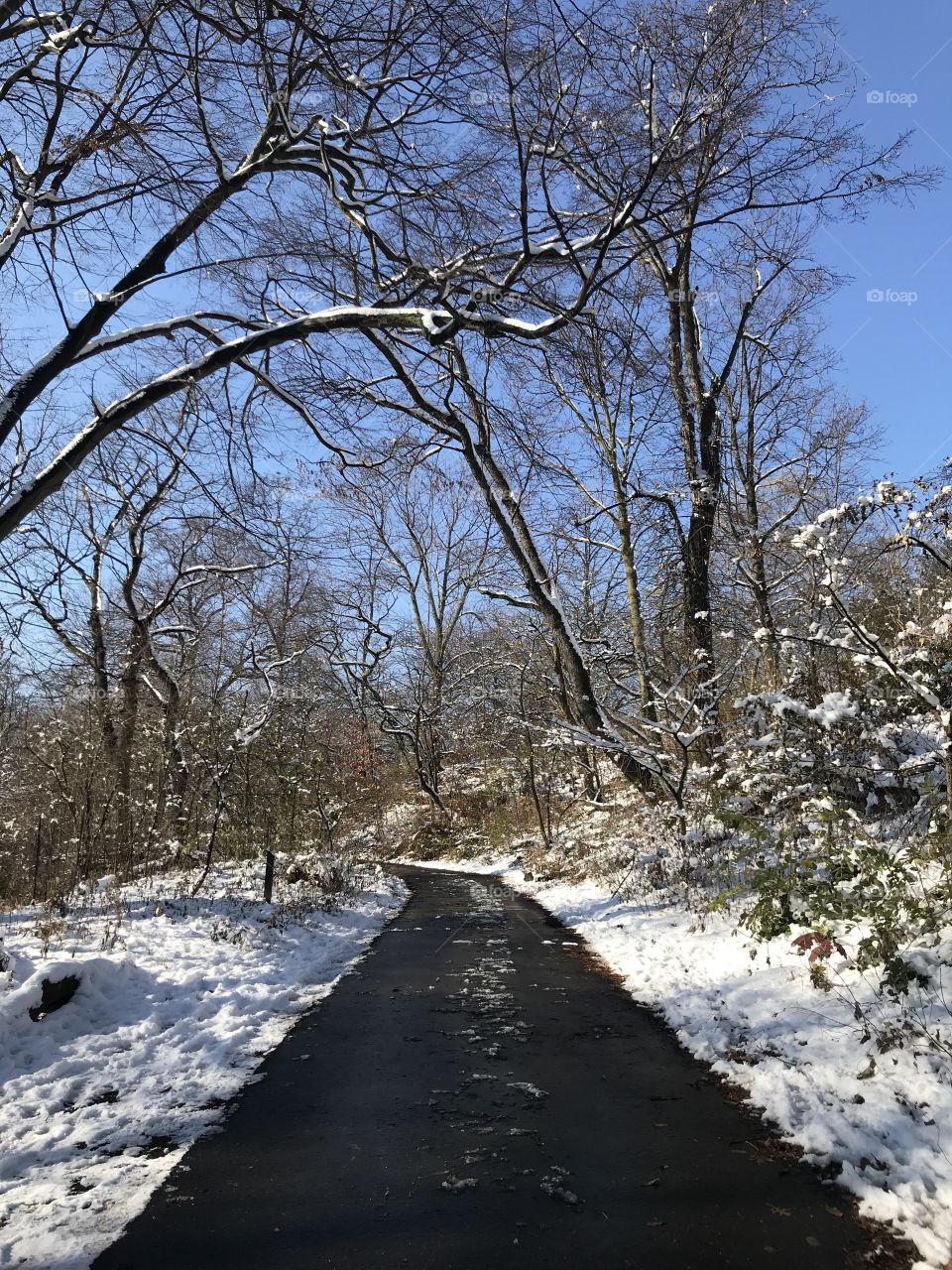 Prospect Park in the snow