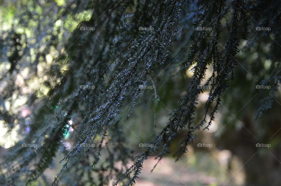 Bright green to dark green & everything in between. 💚