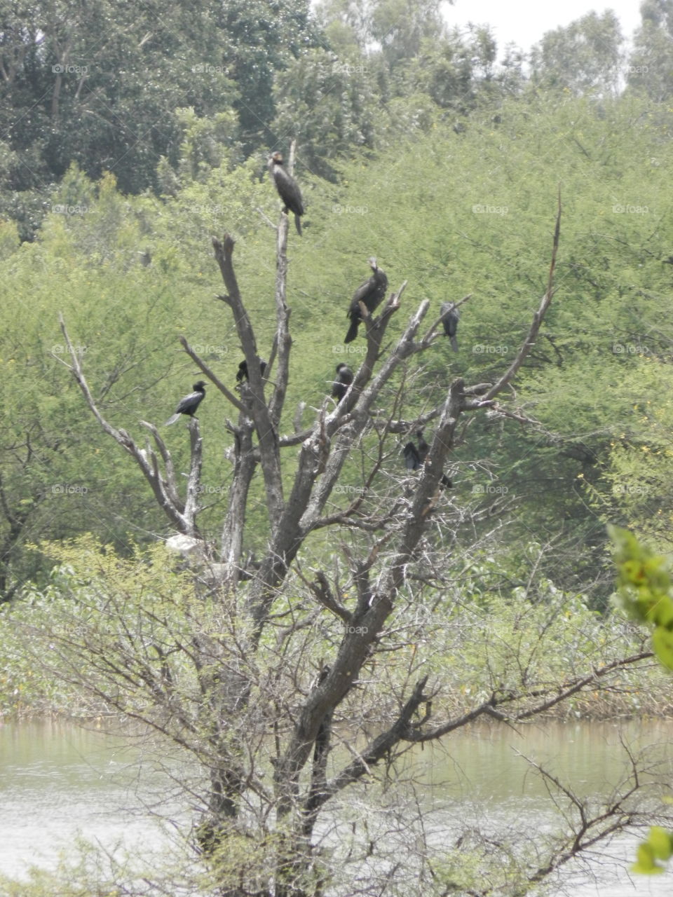 I-Innovation photography