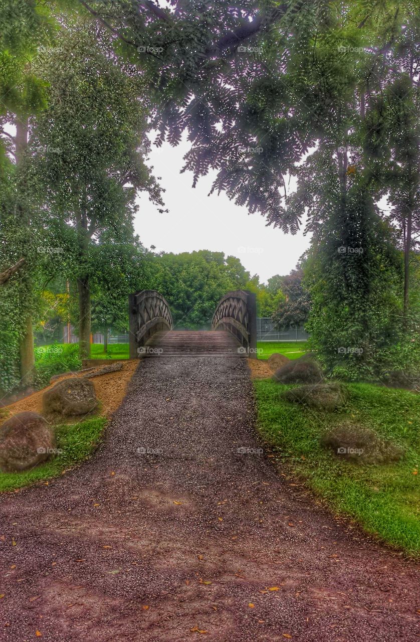 Bridge Over Water