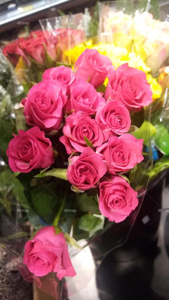 Blumen