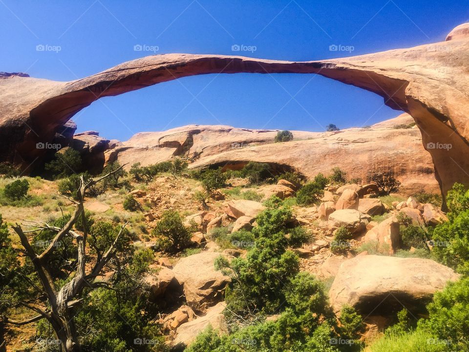 Arches national park 