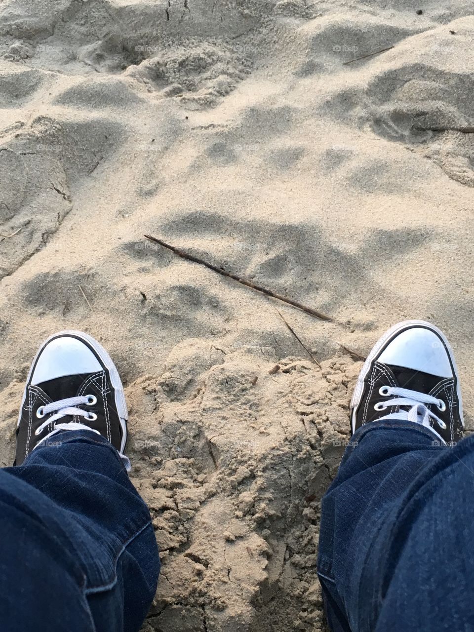 A walk on the beach 