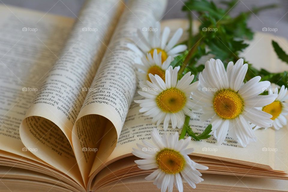 reading book lifestyle book with flowers close up