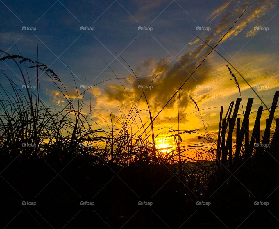 Treasure Island Sunset