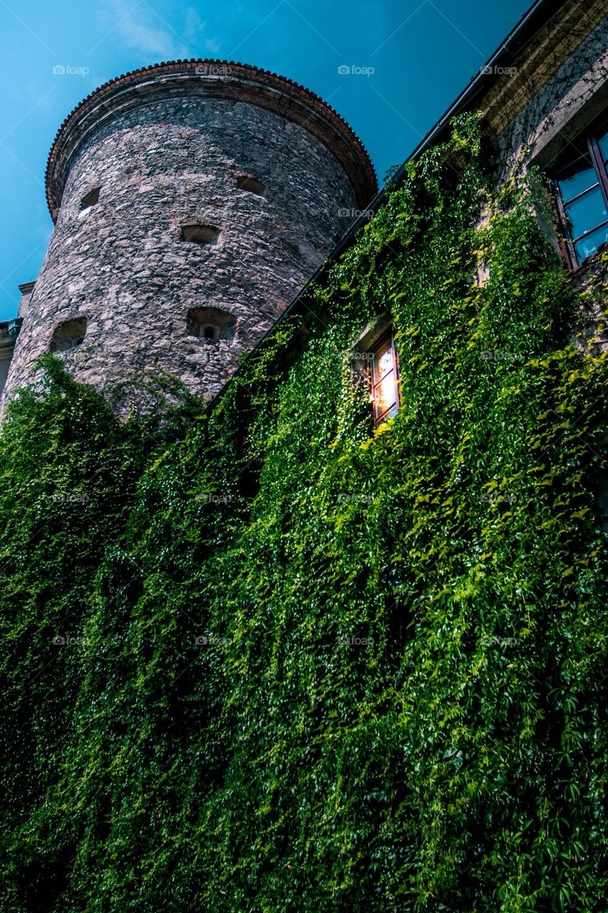 Pieskowa Skała Castle in Ojców, Poland