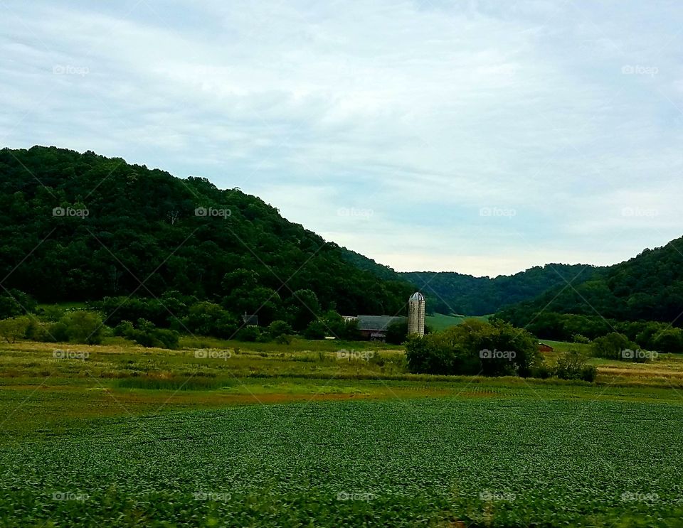 Driving the Back Roads and enjoying everything around us