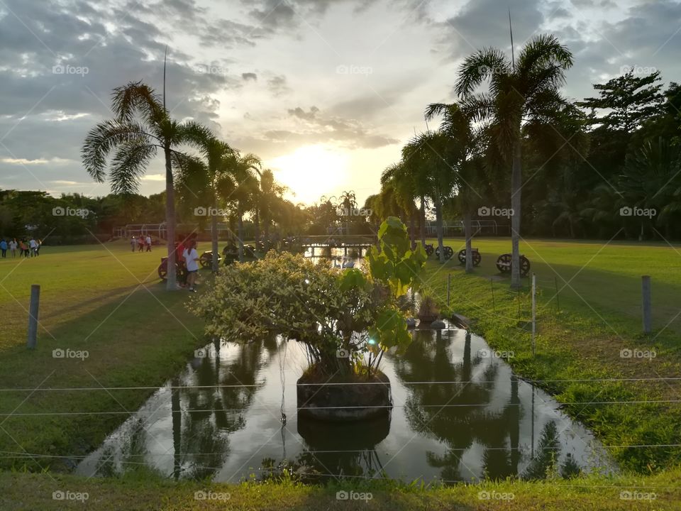 Sunset on a Pond in a Park