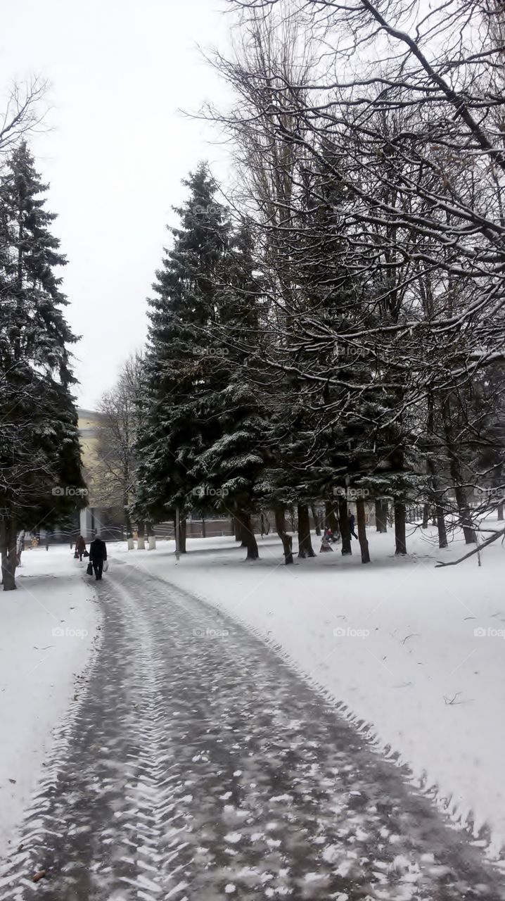Winter landscape in Cheboksary