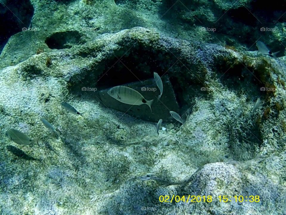 undersea of kas Turkey