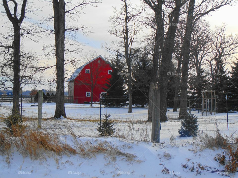 Red barn 