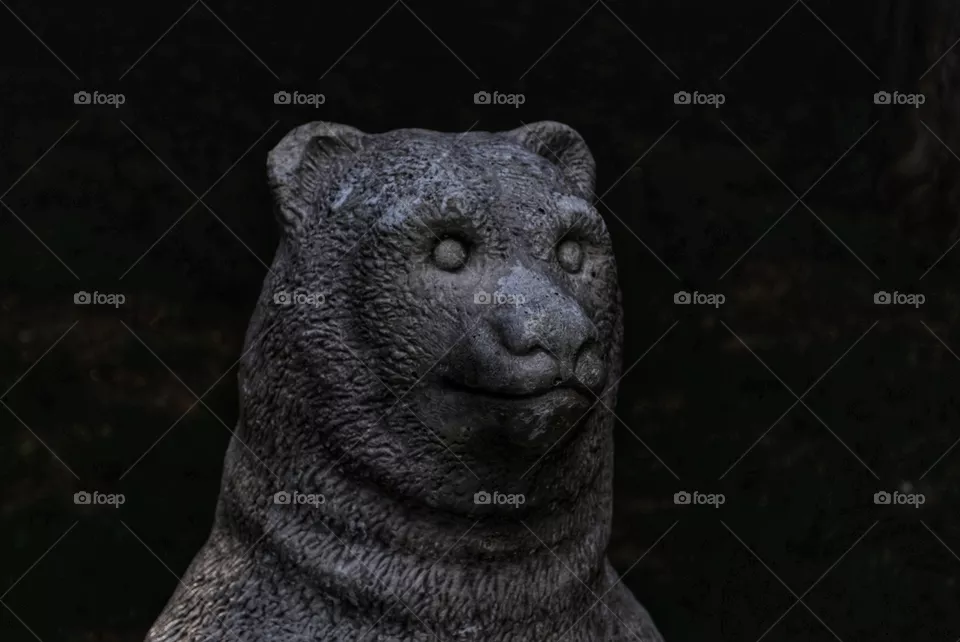bear