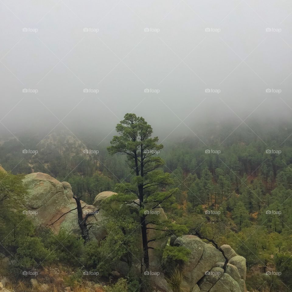 Nature Mountain Cloudscape - Fall
