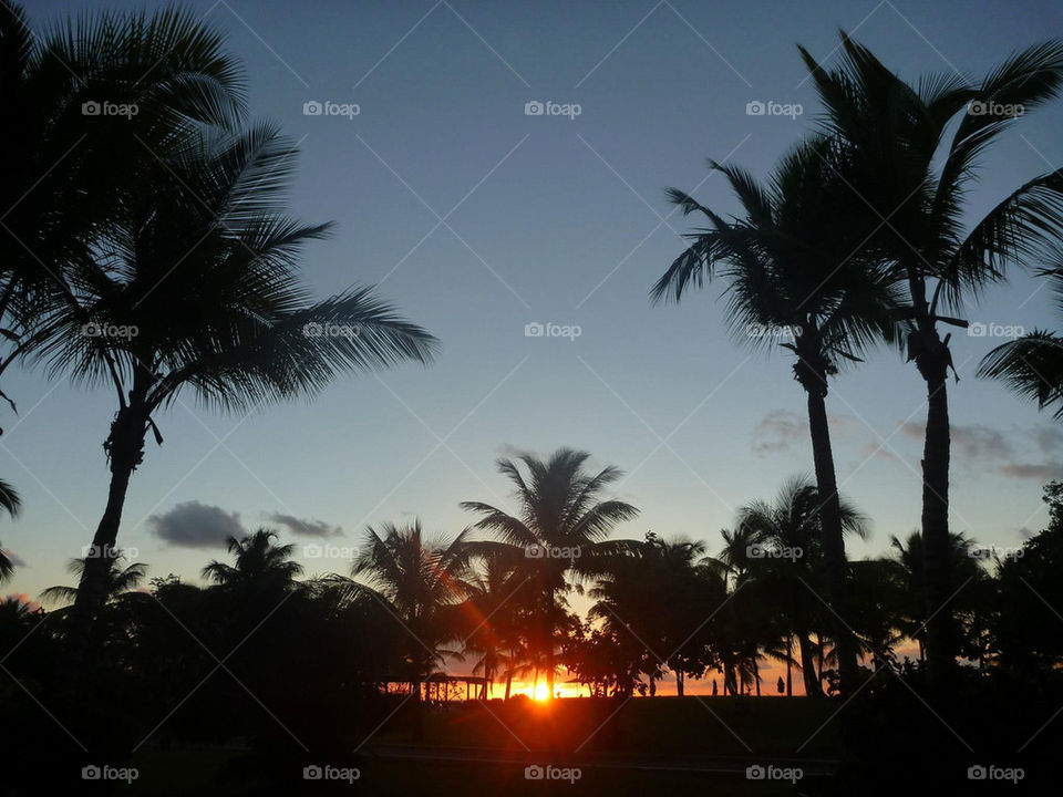 Sunrise in Coconut Bay