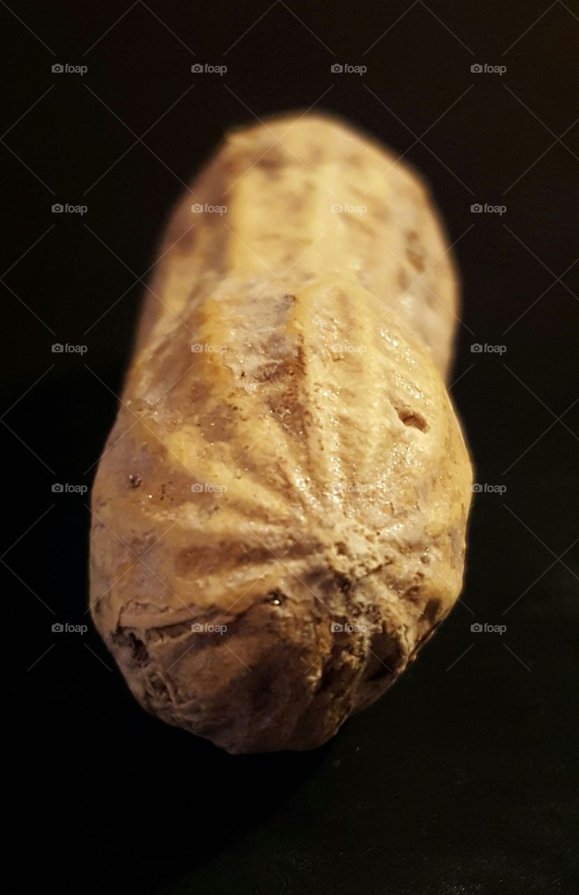 peanut macro